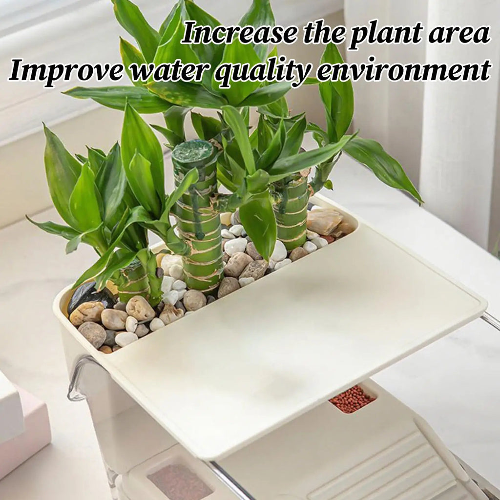 Turtle Aquarium Multi-functional Aquarium Transparent Terrarium for Crayfish Hermit Crabs Frog Reptile Tortoise Habitat Basking