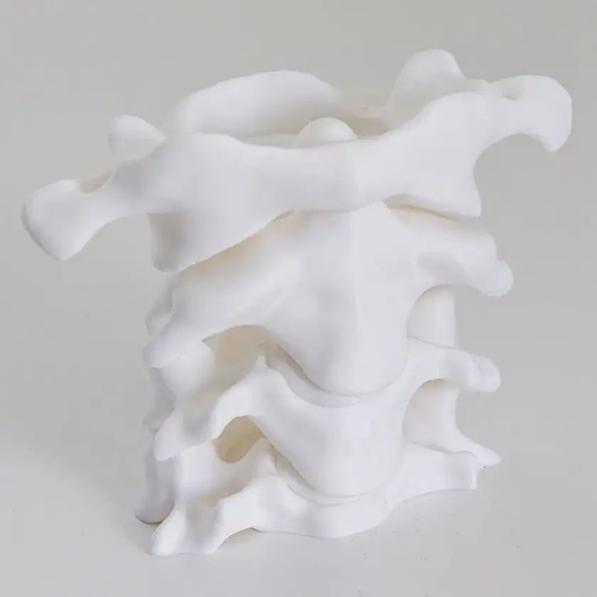 Simulation Spine Pen Holder Brush Holder Spine Pencil Holder Medical Student Gift 3D Vase Storage Box Office Desktop Organiser