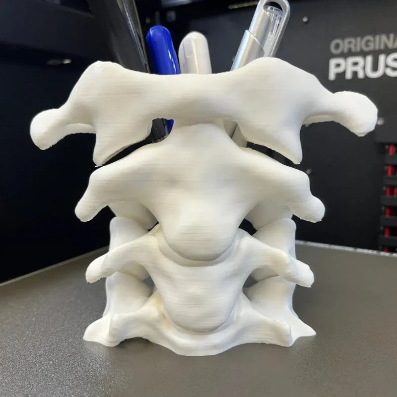 Simulation Spine Pen Holder Brush Holder Spine Pencil Holder Medical Student Gift 3D Vase Storage Box Office Desktop Organiser