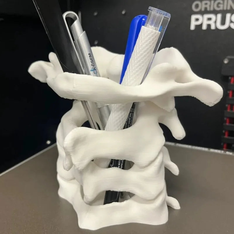 Simulation Spine Pen Holder Brush Holder Spine Pencil Holder Medical Student Gift 3D Vase Storage Box Office Desktop Organiser