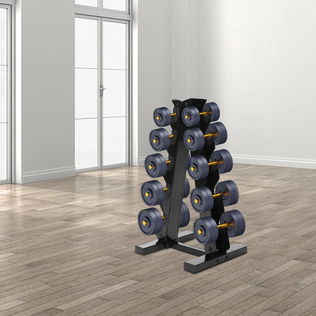 5-Tier Dumbbell Rack A-Frame Steel Dumbbell Holder Accommodate 5 Pairs Dumbbells 100kg Load-bearing Capacity for Home Gym